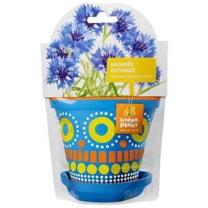 Набор для выращивания Василек Луговой (Happy Plant, Россия). Артикул: HPD-10