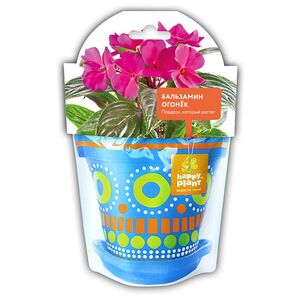 Набор для выращивания Бальзамин огонек Happy Plant (Хэппи Плант) фото 4