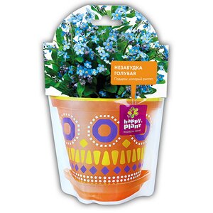 Набор для выращивания Незабудка голубая Happy Plant фото 3