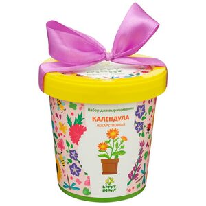 Набор для выращивания Календула Лекарственная в горшке (Happy Plant, Россия). Артикул: HPN-27