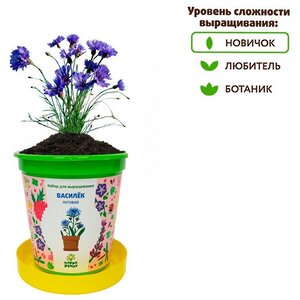 Набор для выращивания Василек Луговой в горшке Happy Plant фото 2