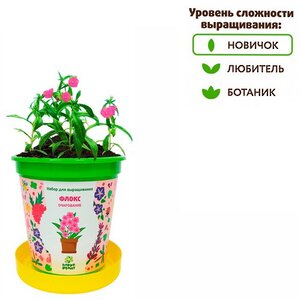 Набор для выращивания Флокс Очарование в горшке Happy Plant фото 2