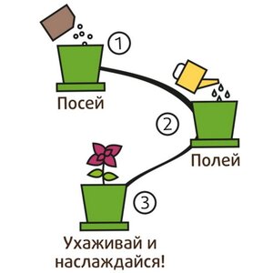 Набор для выращивания Флокс Очарование в горшке Happy Plant фото 6