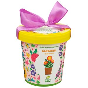 Набор для выращивания Бархатцы Золотистые в горшке (Happy Plant, Россия). Артикул: HPN-30