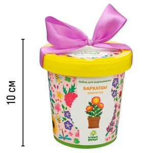 Набор для выращивания Бархатцы Золотистые в горшке Happy Plant (Хэппи Плант) фото 5