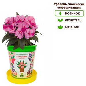 Набор для выращивания Бальзамин Милашка в горшке Happy Plant фото 2