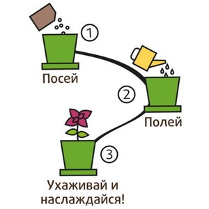 Набор для выращивания Бальзамин Милашка в горшке Happy Plant фото 6