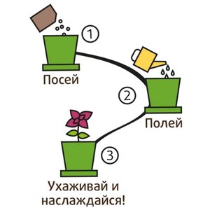 Набор для выращивания Кресс-Салат Полезный в горшке Happy Plant фото 6