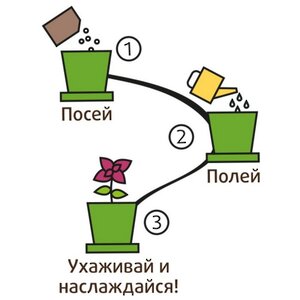Набор для выращивания Тыква Медовая в горшке Happy Plant фото 6