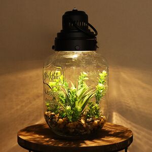 Декоративный флорариум-банка Ронзоне 33*16 см, теплая белая LED подсветка (Koopman, Нидерланды). Артикул: HZ1952860-2