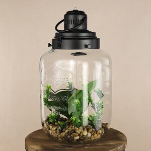 Декоративный флорариум-банка Рубьера с Монстерой 39*20 см, теплая белая LED подсветка  Koopman (Купман) фото 2