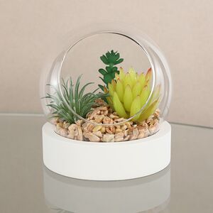 Искусственный флорариум-шар Фориолле Эста 13*12 см