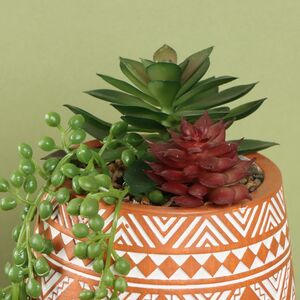Искусственное растение горшке Альенто - Эхеверия 15*10 см Koopman (Купман) фото 2