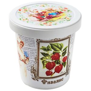 Набор для выращивания Физалис (Rostokvisa, Россия). Артикул: N1507