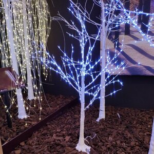 Светодиодное дерево Березка 60 см, 24 холодных белых LED ламп, IP44 Kaemingk фото 3
