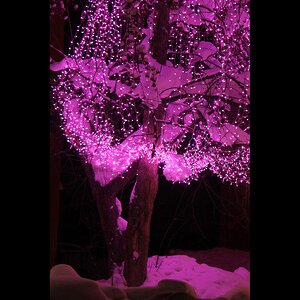 Гирлянды на дерево Клип Лайт Quality Light розовые LED лампы, с мерцанием, прозрачный ПВХ, IP44