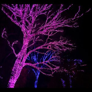 Гирлянды на дерево Клип Лайт Quality Light 30 м, 300 розовых LED ламп, черный ПВХ, IP44 BEAUTY LED фото 2
