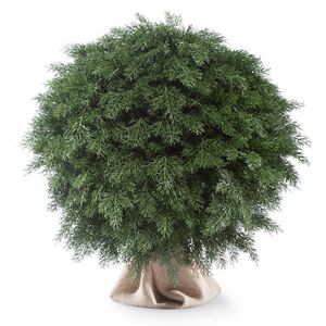 Искусственная Туя-шар 70 см, ЛИТАЯ 100% ElkaDe (ЕлкаДе) фото 2