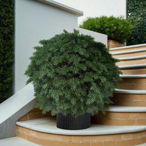 Искусственная Туя-шар 70 см, ЛИТАЯ 100% ElkaDe (ЕлкаДе) фото 5