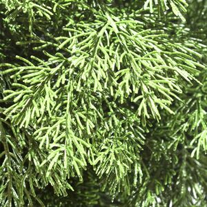 Искусственная Туя-шар на ножке 115 см, ЛИТАЯ 100% ElkaDe фото 12