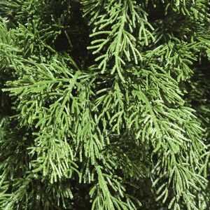 Искусственная Туя 60 см, ЛИТАЯ 100% ElkaDe фото 4