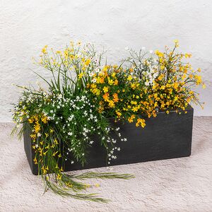 Декоративное кашпо Баркадеро 80*30 см антрацитовое (Koopman, Нидерланды). Артикул: Y54190080