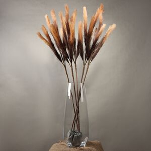 Светящаяся ветка для декора Моника 90 см шоколадная, теплые белые LED лампы, таймер, на батарейках Koopman (Купман) фото 7