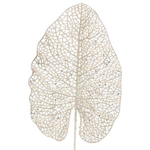 Декоративный лист Ажурная Калатея 67 см шампань Koopman фото 4