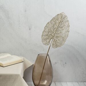 Декоративный лист Ажурная Калатея 67 см шампань Koopman фото 3