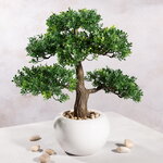 Искусственный бонсай Зантоксилум 40 см