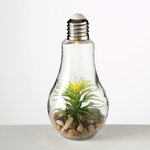 Декоративный светильник - флорариум Лампочка с Агавой 23 см, теплая белая LED подсветка, стекло, IP20