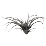 Искусственное растение Перуанская Тилландсия 30*26 см серая