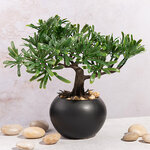 Искусственное растение в горшке Бонсай Лион - Эвкалипт 20 см