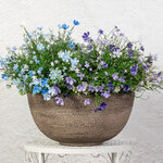 Декоративное кашпо Ричмонд 35*17 см мокко, пластик