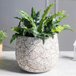 Декоративное кашпо Эрмосильо 21*19 см