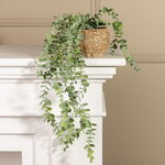 Искусственное растение в горшке Эвкалипт 55 см