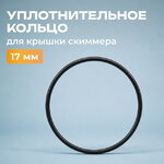 Прокладка для крышки скиммера песочного фильтр-насоса 11232 Intex (Интекс)