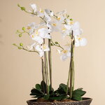 Искусственная орхидея Фаленопсис 76 см, без кашпо