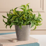 Искусственное растение в горшке Иратсеа 17 см