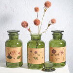 Набор стеклянных бутылок Сантадерро 22 см, 3 шт