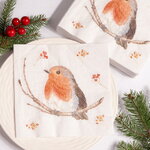 Бумажные салфетки Снегирь Робин 17*17 см, 20 шт