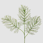 Искусственная ветка Laneva 75 см зеленая
