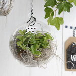 Стеклянный шар для декора Melone 12 см