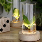 Стеклянная ваза с подсветкой Lokrum 18 см, на батарейках