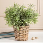 Искусственный эвкалипт в горшке Иербус 26 см