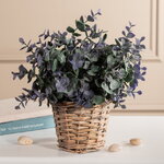 Искусственный эвкалипт в горшке Гласвелти 26 см