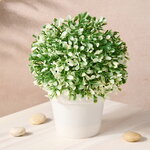 Искусственное растение в горшке Эрба Бьянка 20 см