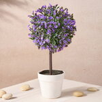 Искусственное растение в горшке Эрба Виола Скуро 23 см