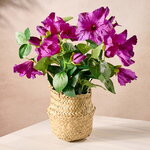 Искусственный цветок в горшке Петуния 35*20 см пурпурная