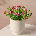 Искусственный цветок в горшке Броваллия 15 см розовая